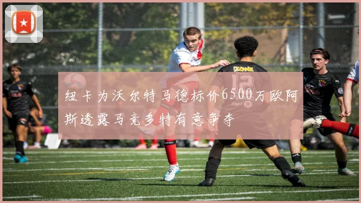 纽卡为沃尔特马德标价6500万欧阿斯透露马竞多特有意争夺